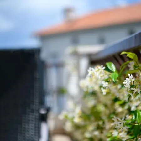 Yasmin By Briskva 布鲁赛吉