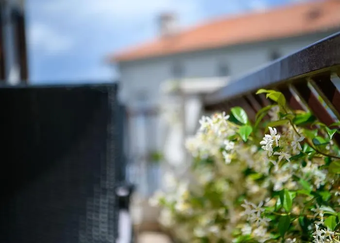 Yasmin By Briskva Brseč